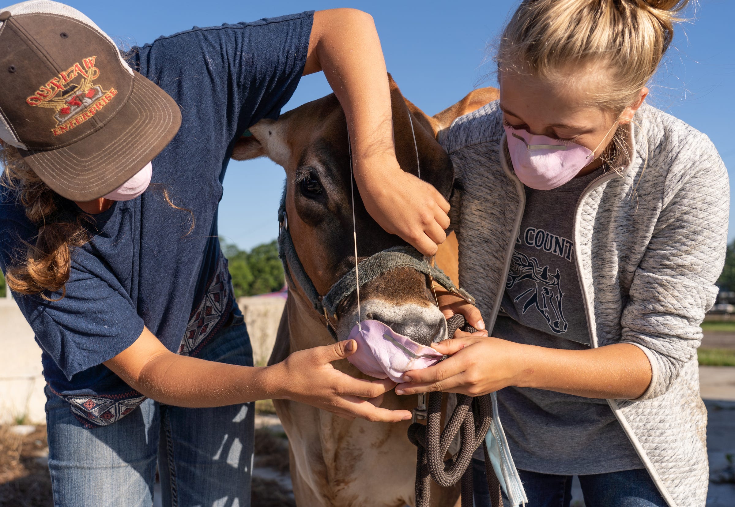 Rowan Conley (right) of North Branch and Myla Hochstein of North Branch temporarily add a face mask to a cow while getting ready for the Youth Dairy Show at the Eastern Michigan State Fair in Imlay City on Wednesday, July 29, 2020. This year the Eastern Michigan State Fair was turned into a youth exhibitor only Show and Go Showcase due to COVID-19 restrictions where the animals were brought in for the event and hauled away after it was over.