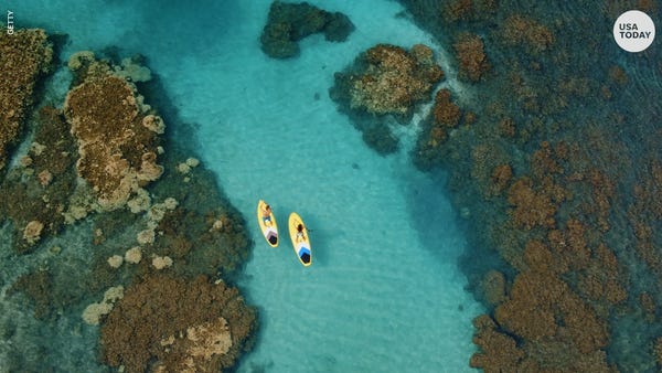 Holiday cruises may be suspended this year thanks 