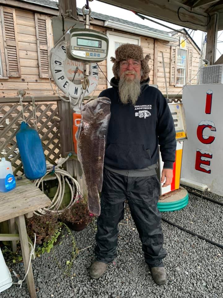 Waretown man catches potential new N.J. record blackfish in Cape May