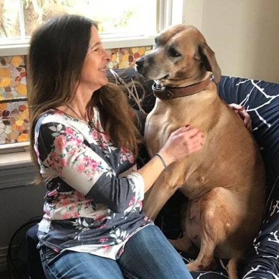 NJ attorney general files lawsuit against Merlin's Kids, Janice Wolfe