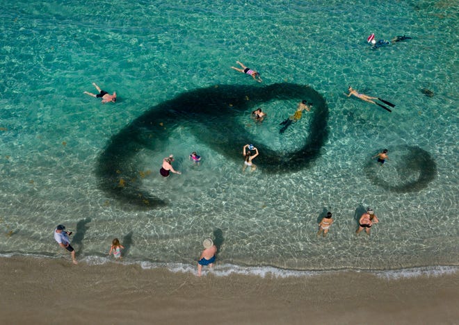 A school of bait fish moves around swimmers in the ocean on Singer Island in Palm Beach Shores, Florida on June 29, 2020.