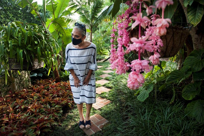 Alexis Magaro admires hanging plants including a pink Medinilla magnifica, at Kit Pannill's home December 17, 2020 Palm Beach. The Preservation Foundation of Palm Beach awarded its 2020 Lesly S. Smith Landscape Award to Kit Pannill last March, but the garden tour was postponed due to COVID-19 restrictions. MEGHAN McCARTHY / Palm Beach Daily News MEGHAN MCCARTHY/palmbeachdailynews.com