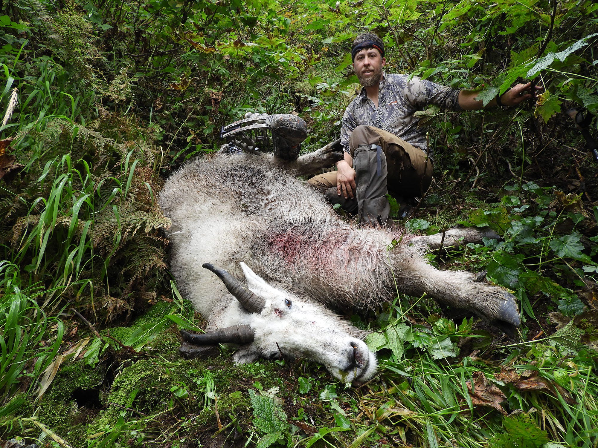 Globe-record mountain goat shot with bow in Alaska by Kansas native
