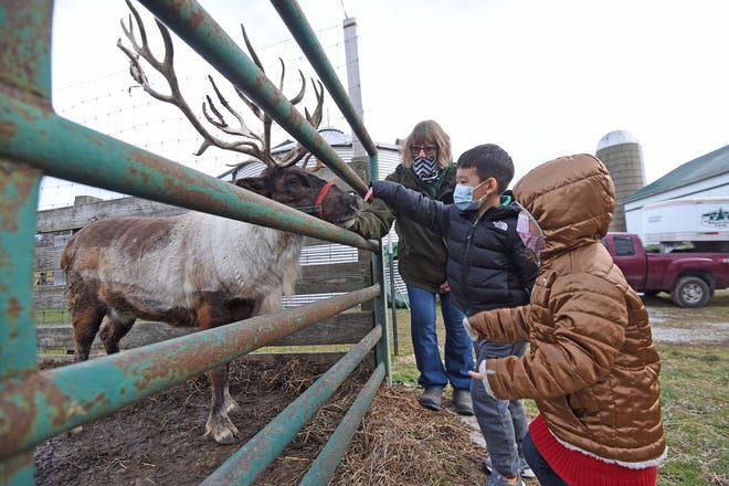 Debbie Kleer helps Ethan Yang, 5, and his sister Mila,3, pet Krystal the reindeer Wednesday afternoon at Kleerview Farms in Bellville.
