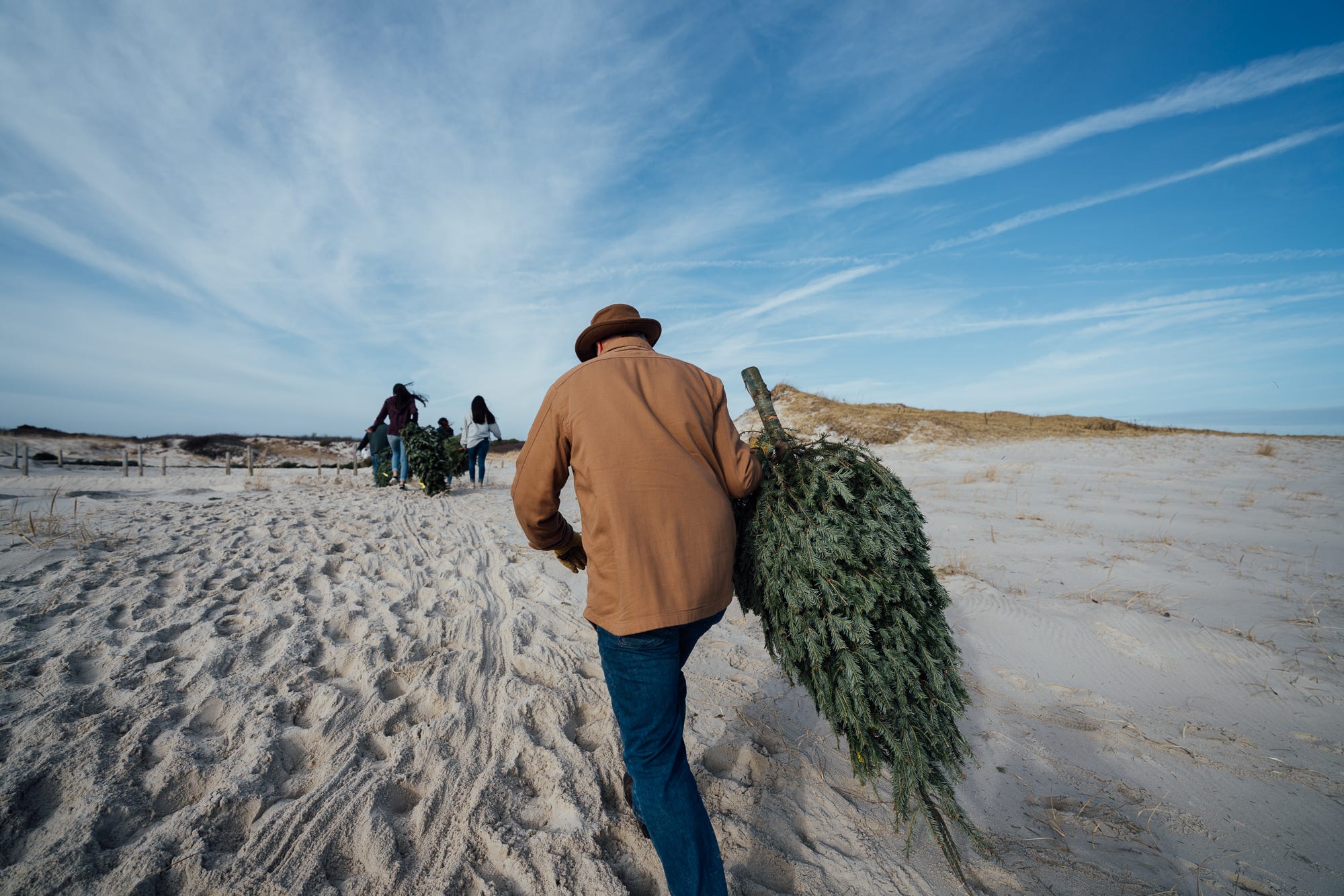 New life for your Christmas tree -- and for yourself