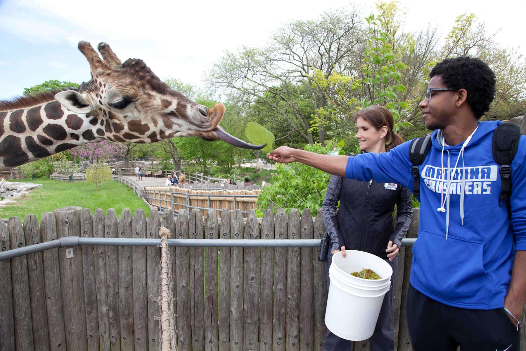 Madonna University will launch animal studies major in 2021 Madonna University will launch animal studies major in 2021