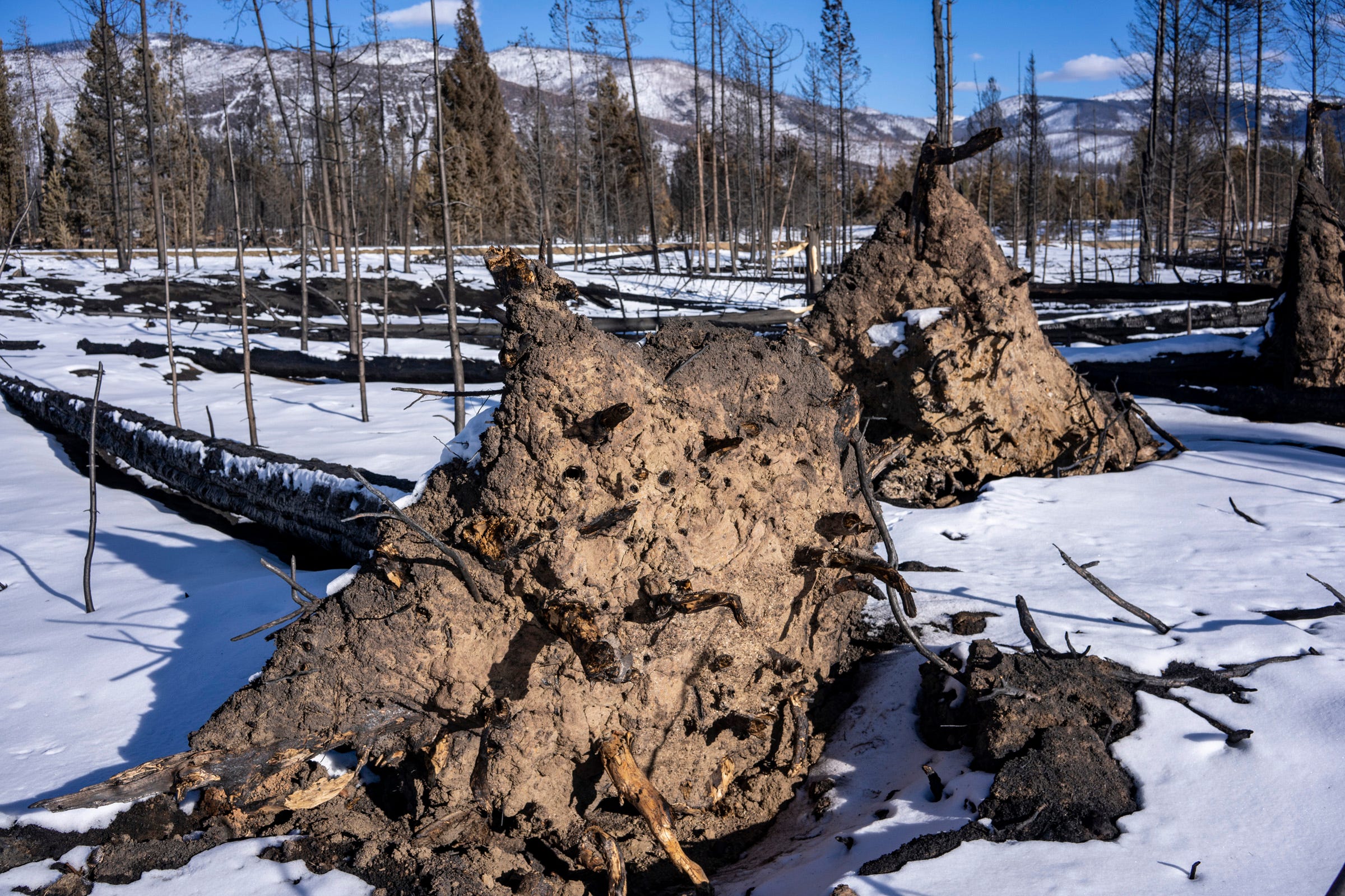 The East Troublesome Fire burned through part of the Colorado River’s headwaters in Rocky Mountain National Park. The fire left charred and toppled trees beside a stretch of the river.