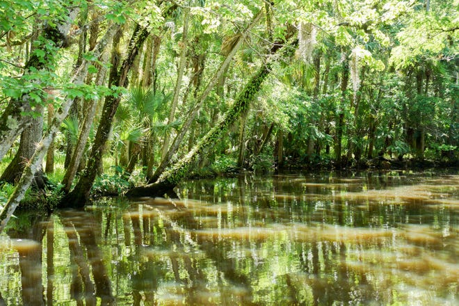 Cracker Creek