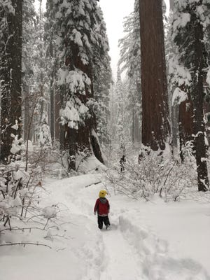 Audience share their pandemic travels close to San Joaquin County Audience share their pandemic travels close to San Joaquin County