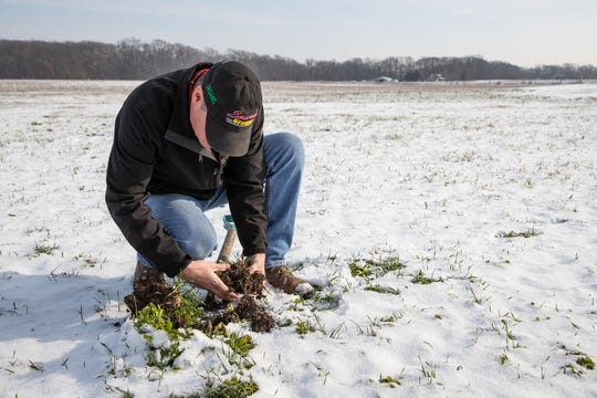 Farmer Rick Clark digs up a small batch of dirt from his field to see if he can find any earthworms at his farm in Williamsport, Ind., on Friday, Dec. 18, 2020. Clark is a regenerative agriculture farmer, focusing on soil health and removes chemicals and fertilizer from his fields. 