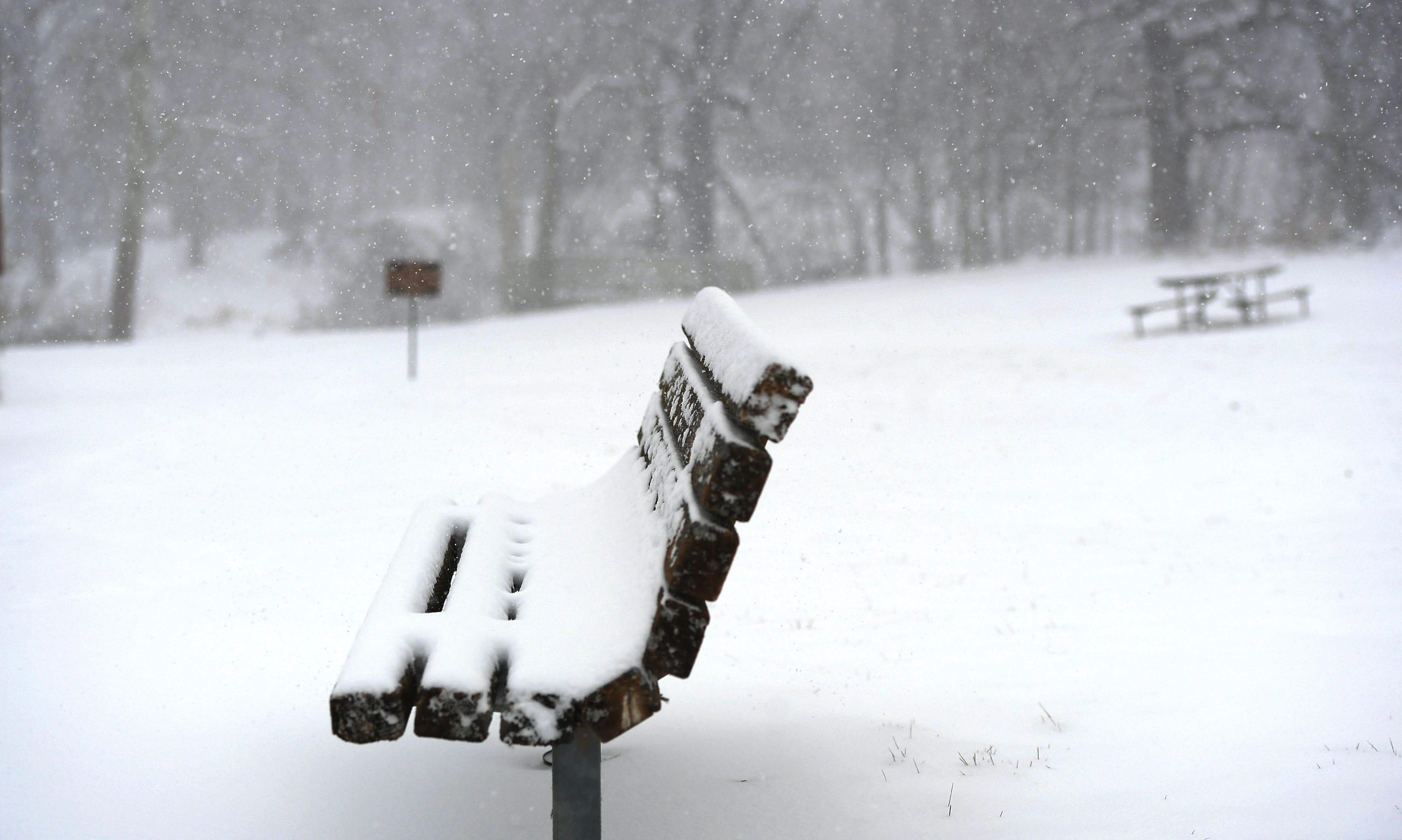 Photos: Snow falls at McFarland Park in Ames, Iowa
