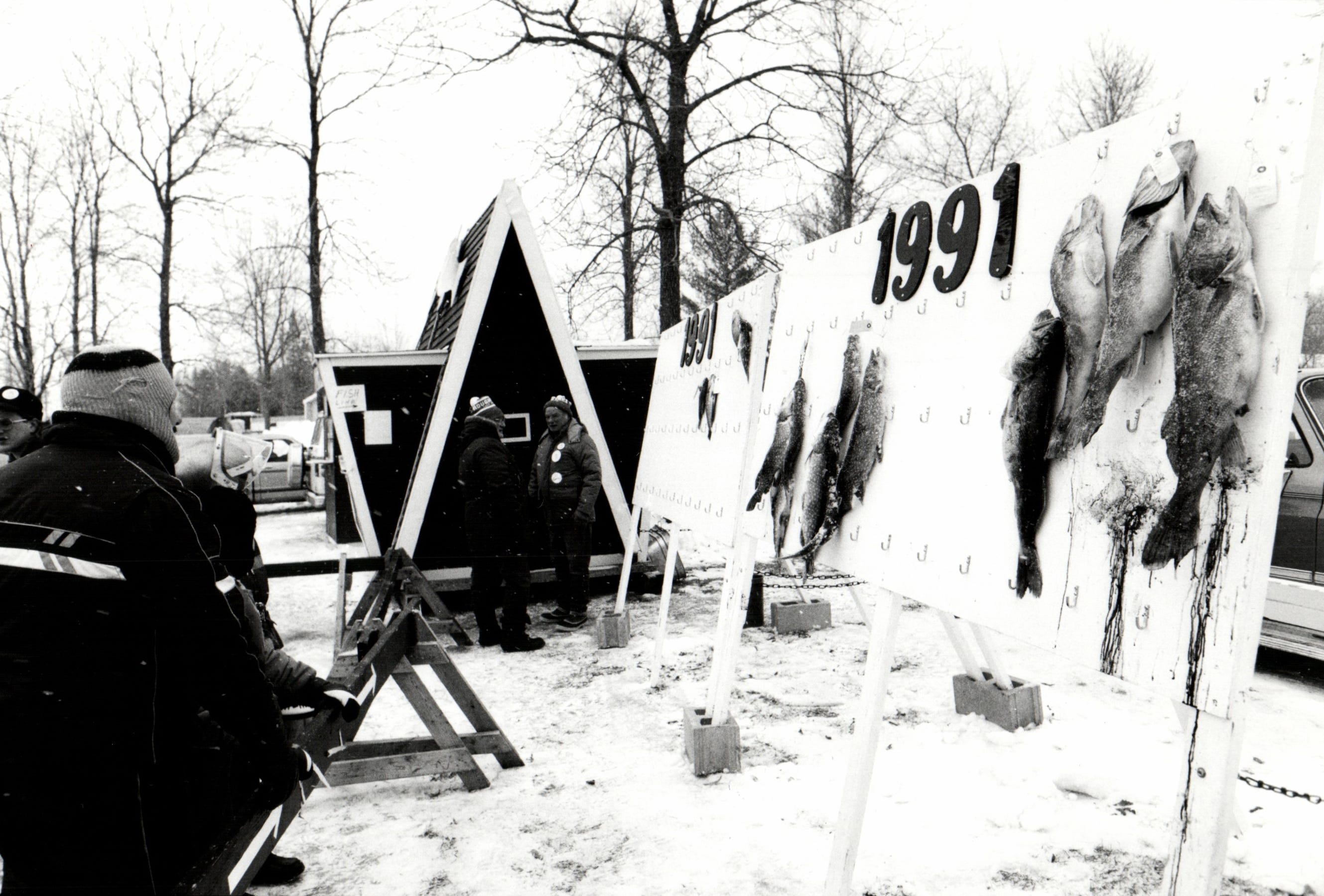 Prize-winning fish are strung out on the fish board waiting for judging at Houghton Lake's Tip-Up Town USA in 1991.