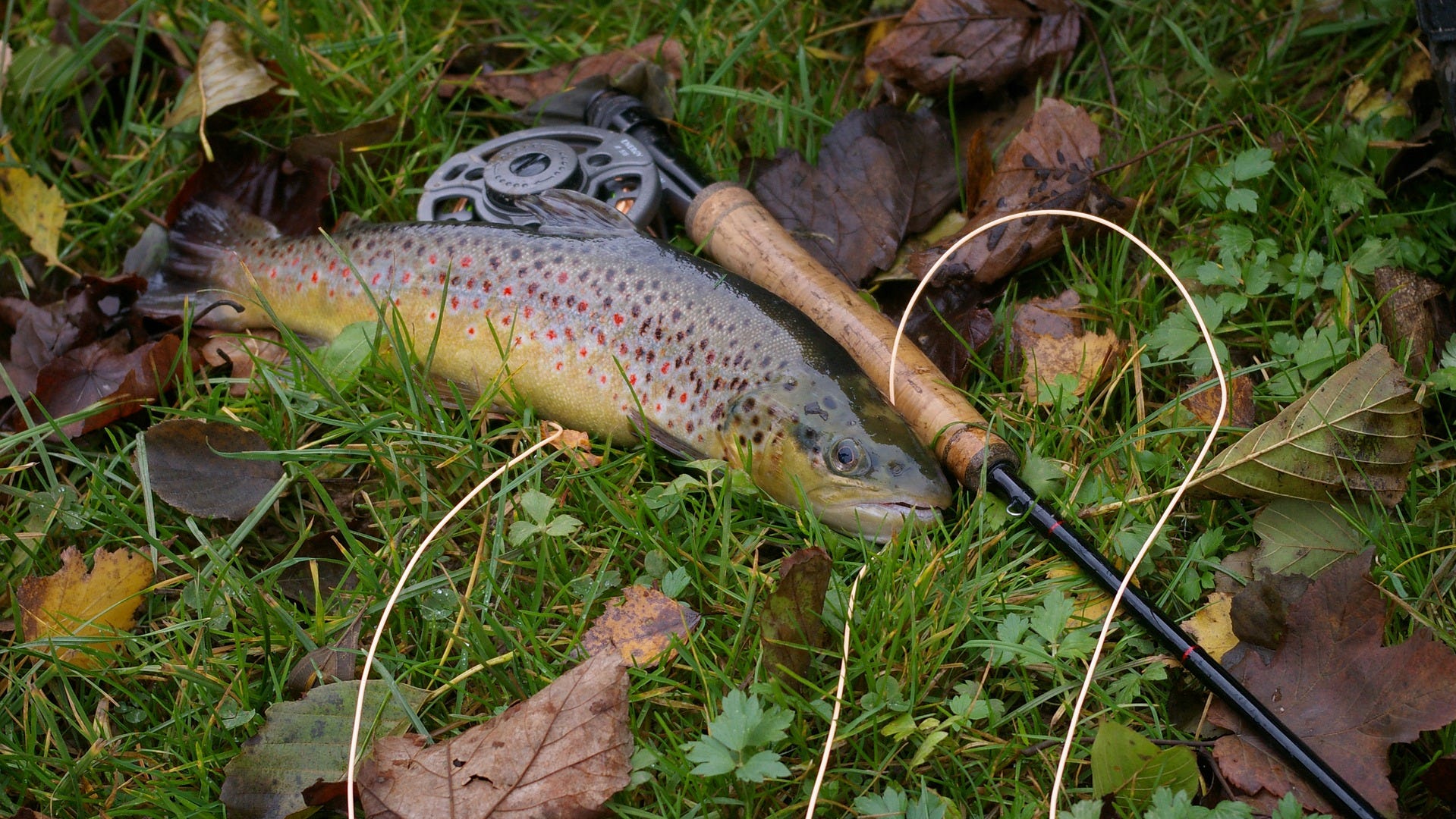 Fulkerson Winery, in partnership with the Glenora School of Fly Fishing, will be offering a 3-part fly tying series, and two seminars on Tactics for Spring Trout Fishing in February, March and April.
