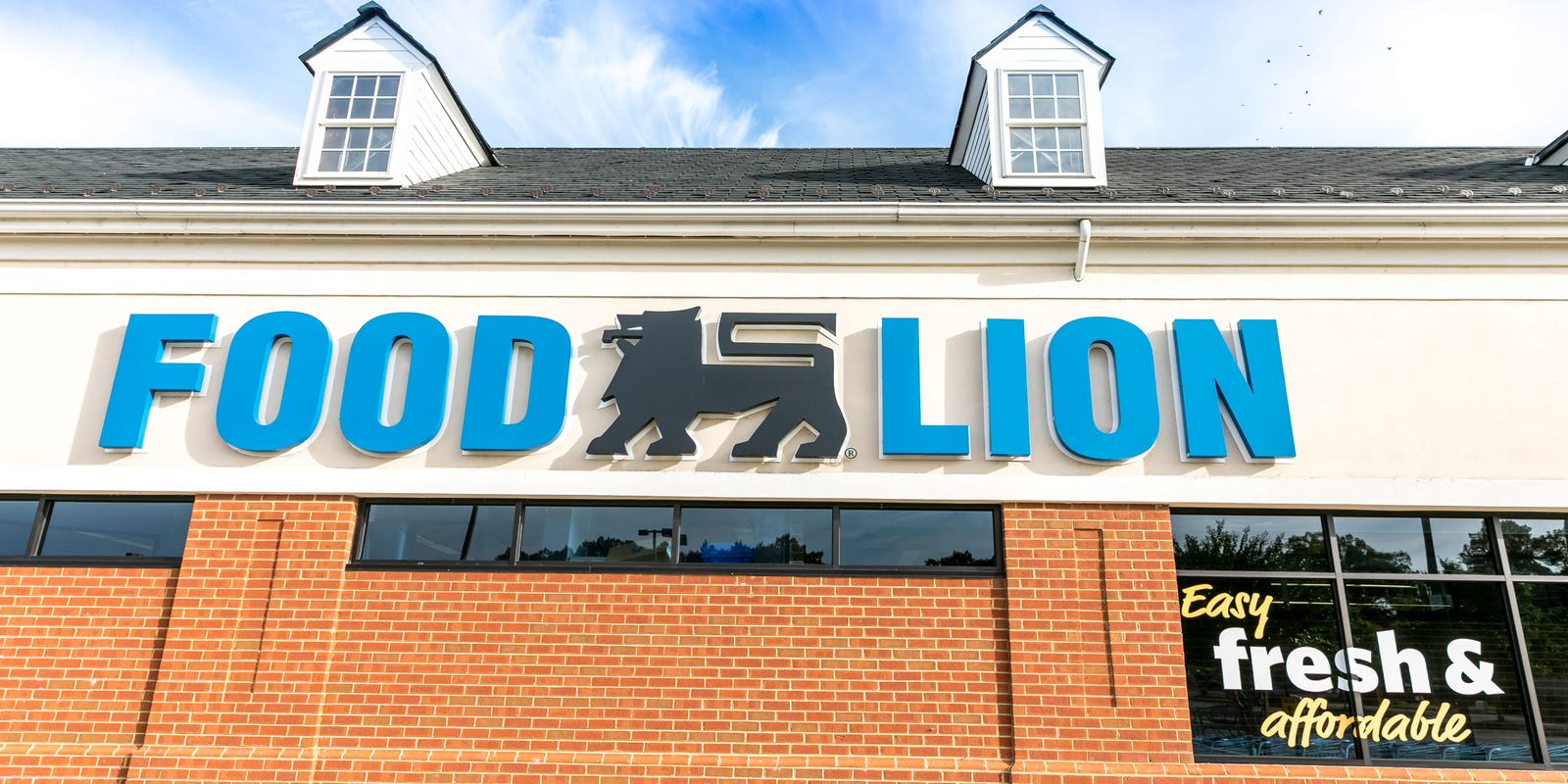 Food Lion Grocery Stores To Open In Inman Chesnee In Spartanburg County [ 800 x 1600 Pixel ]
