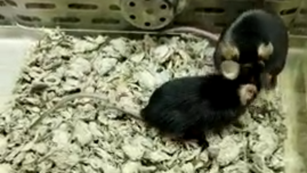 Study demonstrates a tool that theoretically could