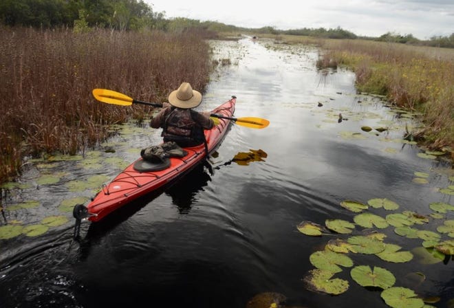 A kayaker paddles through the Okefenokee Swamp, where the Georgia River Network will host a trip later this month. (Contributed)