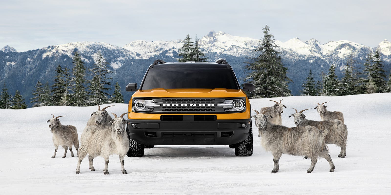 Ford puts spotlight on Bronco Sport with new advertising campaign