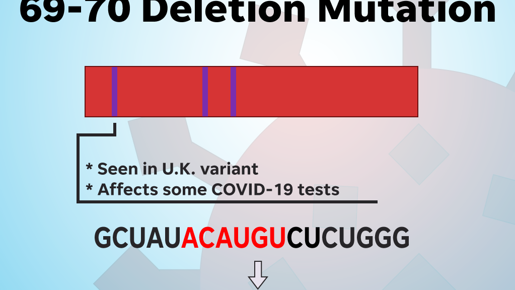 The 69-70 deletion mutation affects some COVID-19 tests.