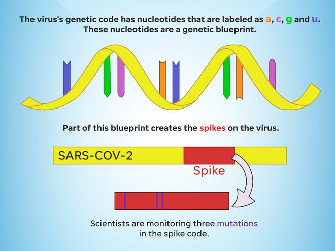 Scientists are monitoring mutations in the spike of the novel coronavirus.