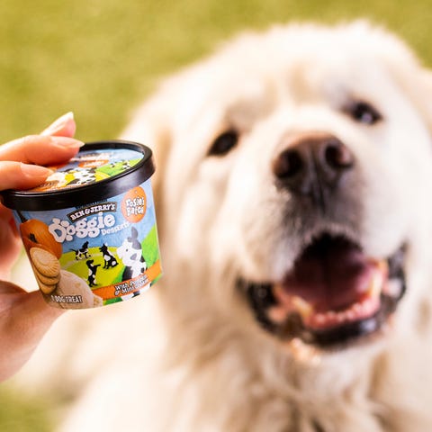Ben & Jerry's is introducing a line of frozen dog 