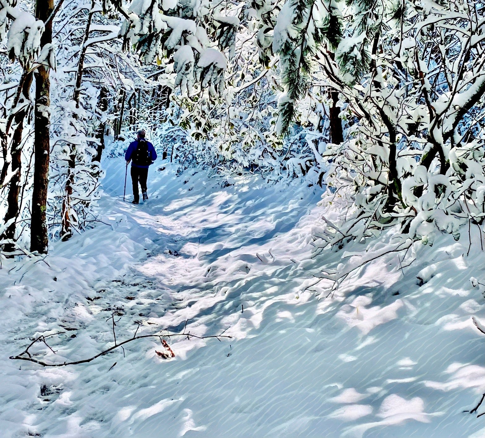 Five picturesque winter hikes in East Tennessee See the trails