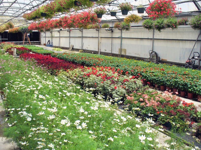 NM Dept. of Agriculture accepts apps for specialty crop grant NM Dept. of Agriculture accepts apps for specialty crop grant