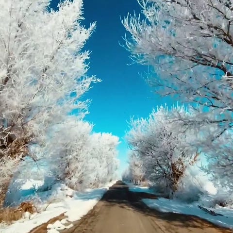 Trees in Spain are covered in rime ice, which is w
