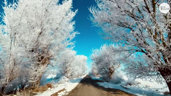 Trees in Spain are covered in rime ice, which is w