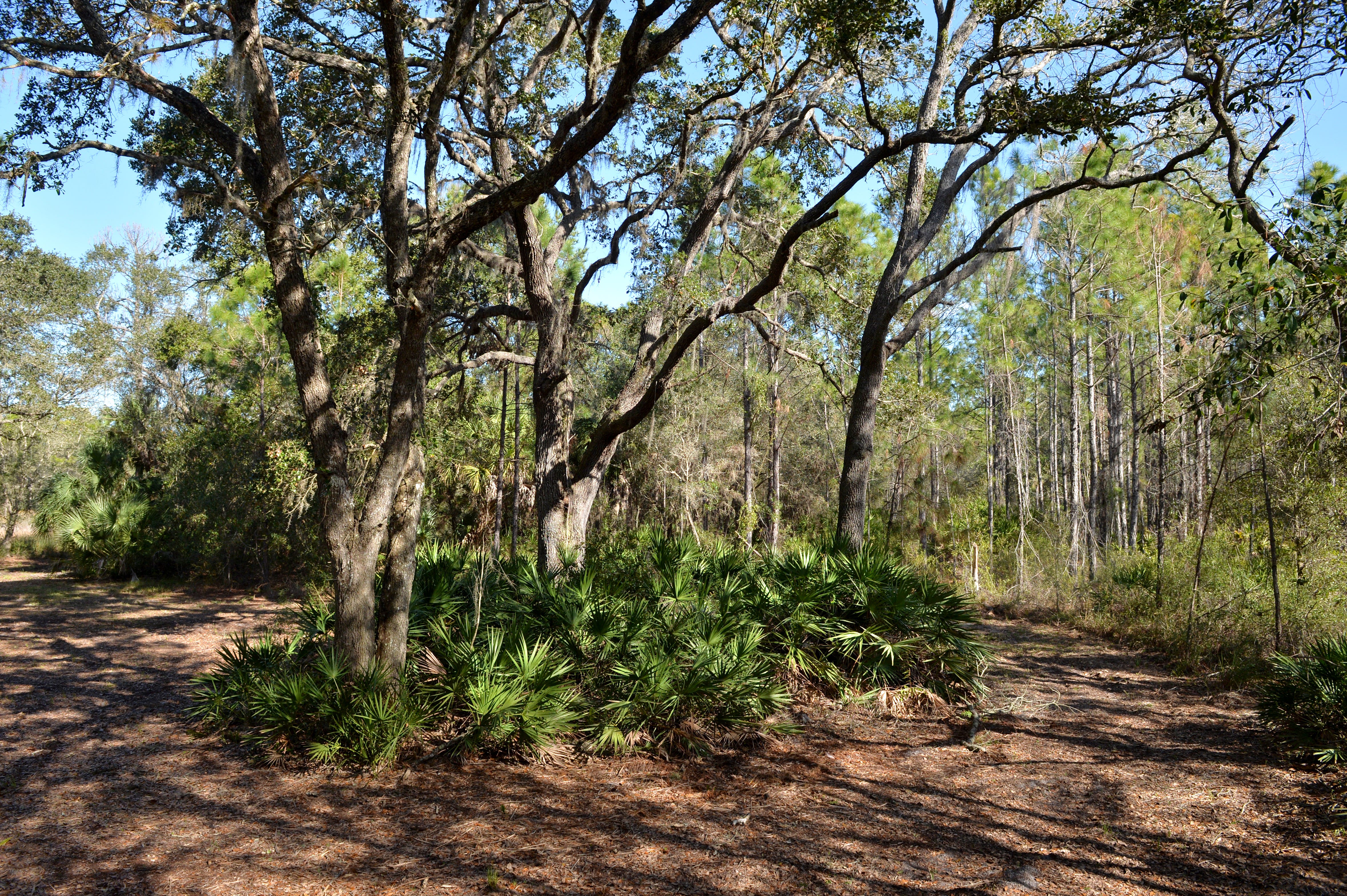 First hurdle cleared for 10,000acre Hi Hat Ranch development plan in