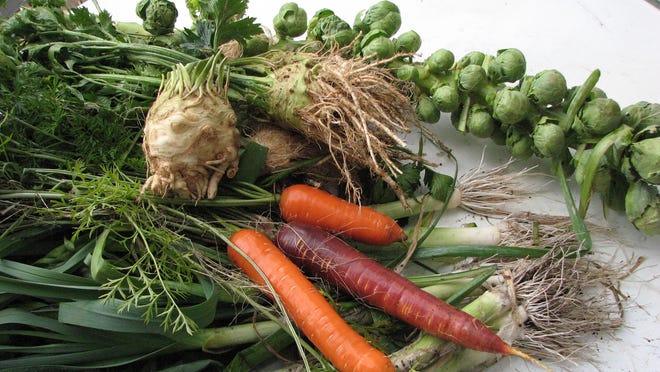 Organic vegetables from Henry's garden not only look good but they taste great, too.