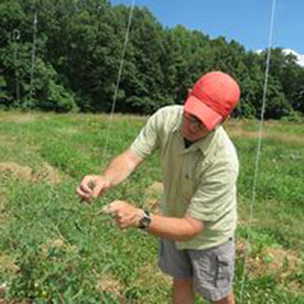 NCC to current webinar on edible gardening