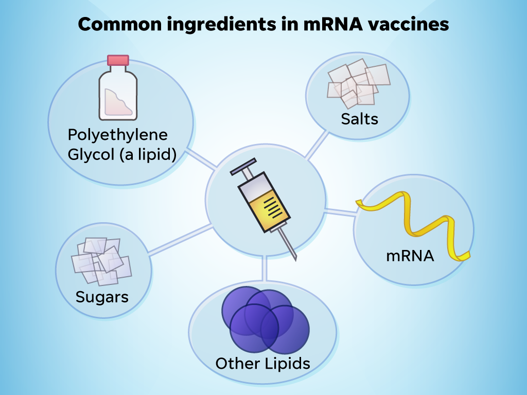 Why has Pfizer changed the formulation of its Covid-19 Vaccine for Children to include an ingredient that stabilises people suffering a Heart Attack?