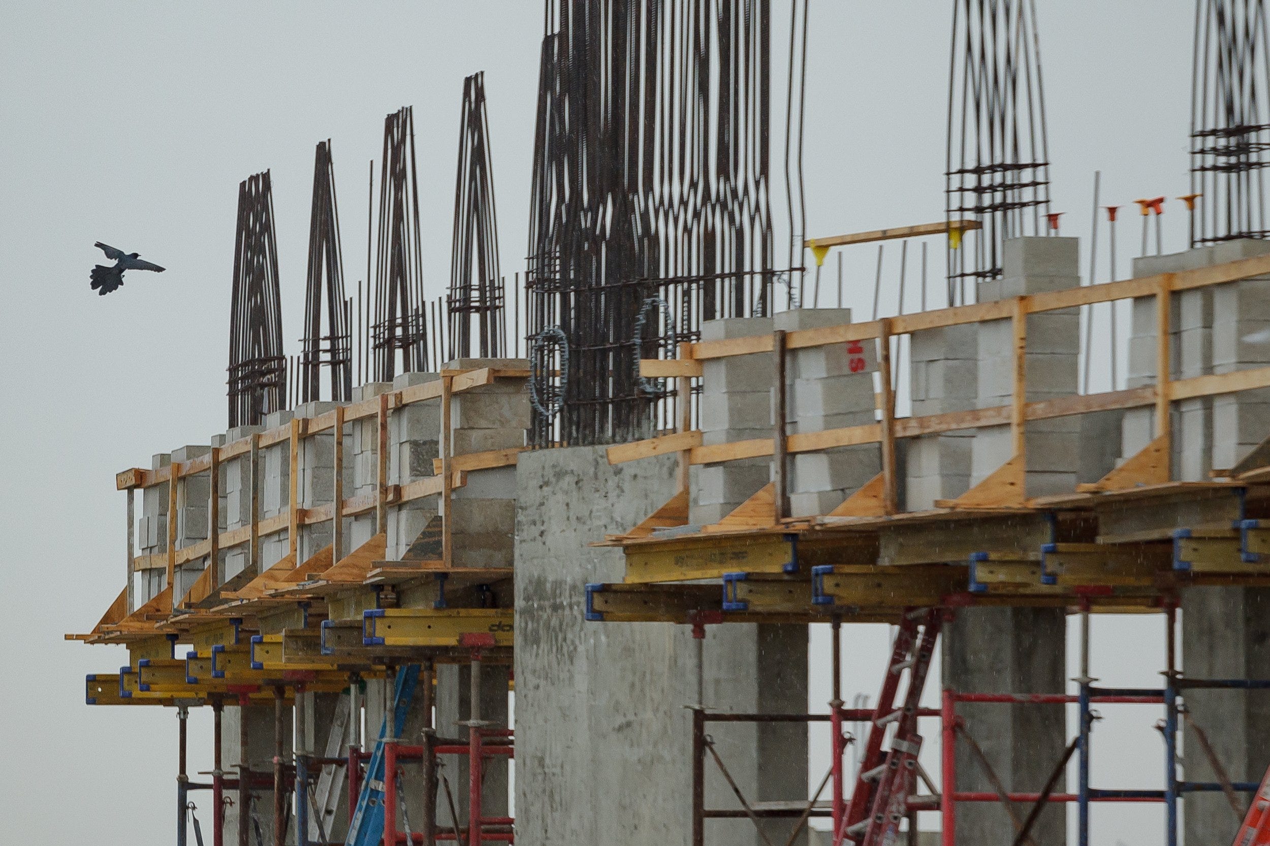 In 5 years, Westlake, Florida, grows from citrus grove to unusual suburb