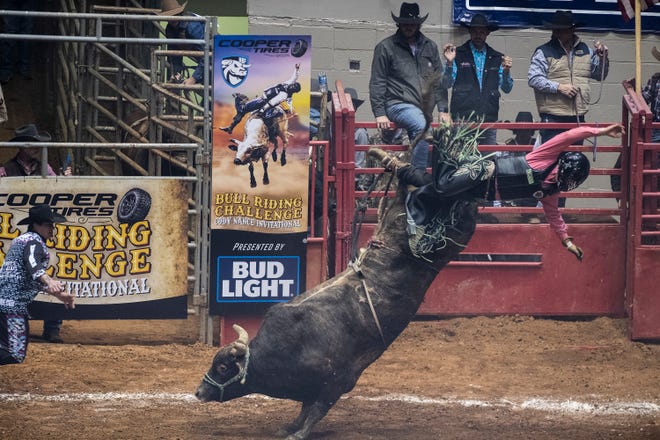 The Cooper Tires Bull Riding Challenge was hosted by Cody Nance on Friday, Jan 22, 2021 at Oman Arena in Jackson, Tenn. 