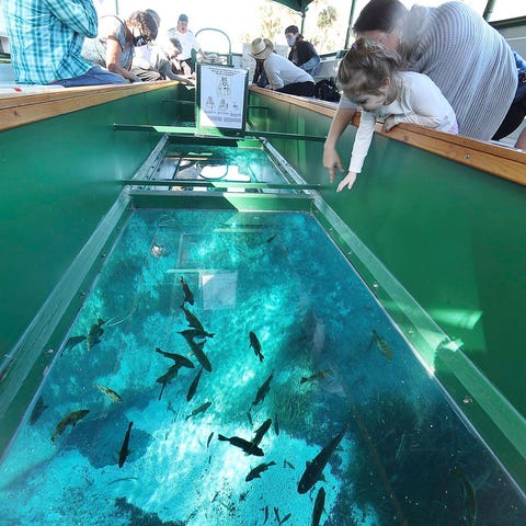 Visitors enjoy the view from a glass-bottom boat a