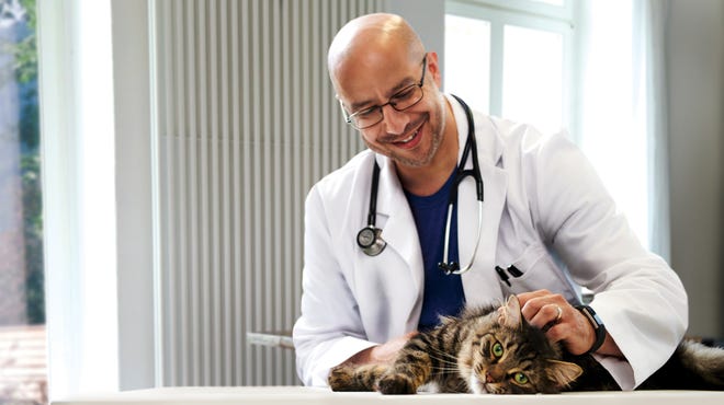 Veterinarians at Pathway Vet Alliance locations typically take care of animals such as cats and dogs, but they could be tapped to help humans get vaccinated against COVID-19.