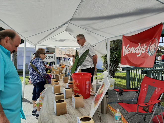 This photo shows activity at a previous Rainbow Springs Art Festival. This year's version is coming up in March.