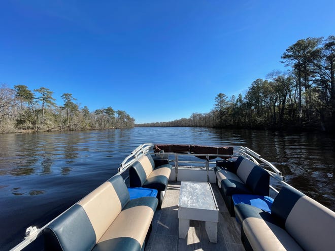 Castle Hayne Water Tours will gives guests a small-group tour of the Northeast Cape Fear River on an outfitted pontoon captained by Doug Springer.