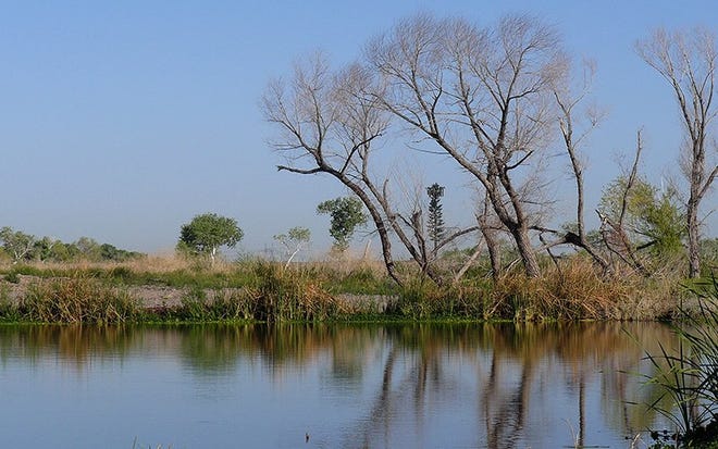 A 2013 photo of a pool in the Tres Rios wetlands, a reclaimed part of the Salt, Gila and Agua Fria rivers that is now teeming with wildlife. Tres Rios is one of the projects named in a bill creating a $150 million fund for local water projects in Arizona, with the first $900,000 being released for a Pascua Yaqui irrigation project.