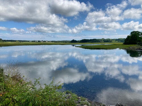 The Rachel Carson National Wildlife Refuge is inviting business owners in southern coastal Maine to incorporate one act of environmental sustainability into their operations starting in 2021 in the voluntary, community-wide project called Rachel Carson’s Conservation Champions: Businesses for a Greener Future.