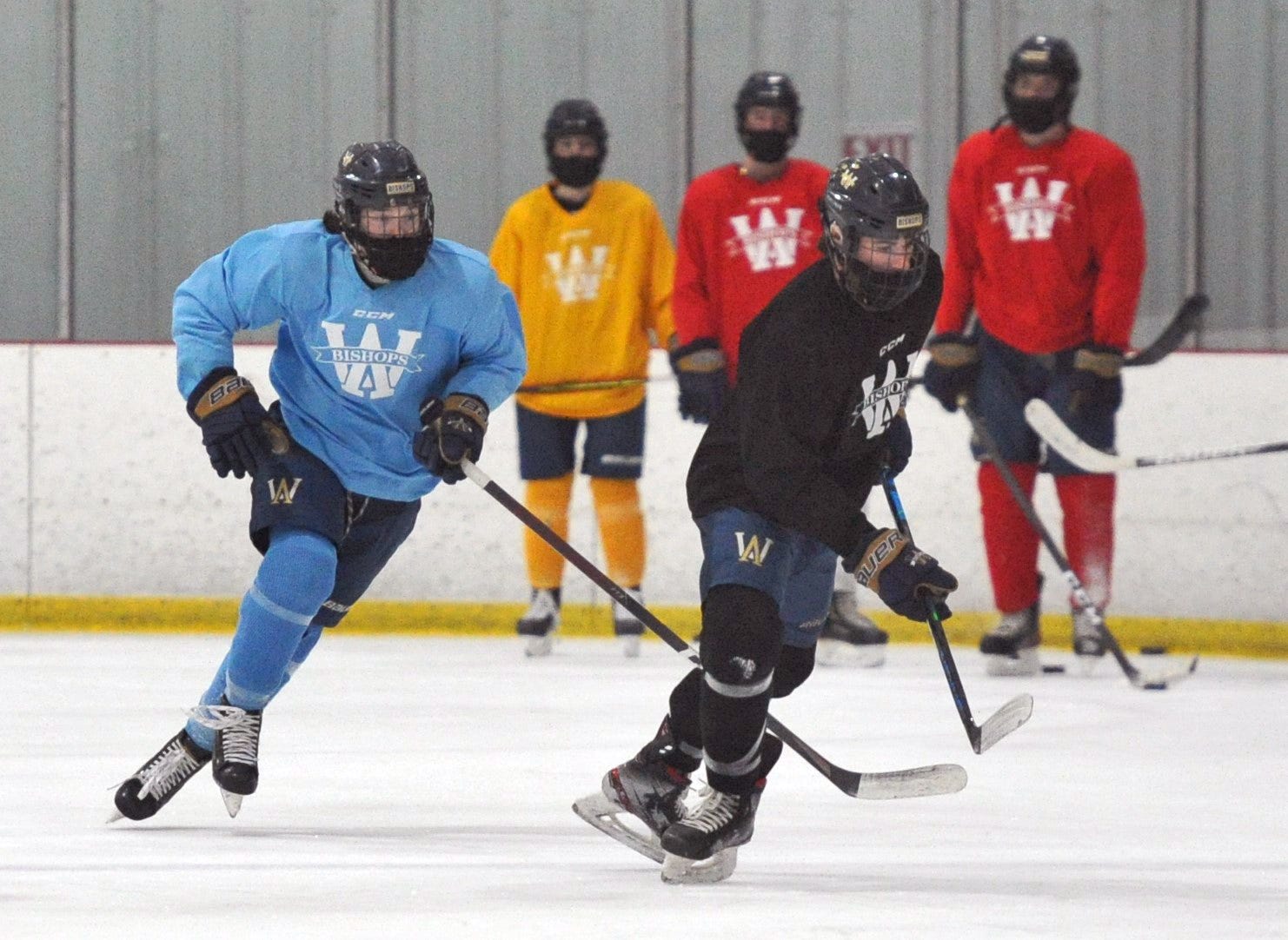 Williams boys hockey upset in Catholic Central League final