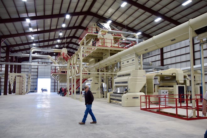Part of the new super gin facility located 3.5 miles northwest of Mereta. The facility opened on February 5.