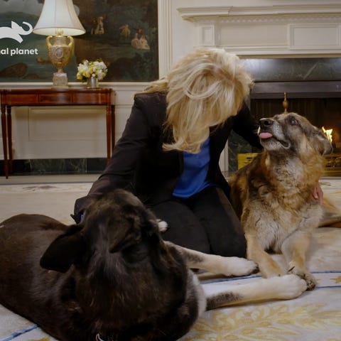 First Lady Jill Biden encouraged people to wear ma