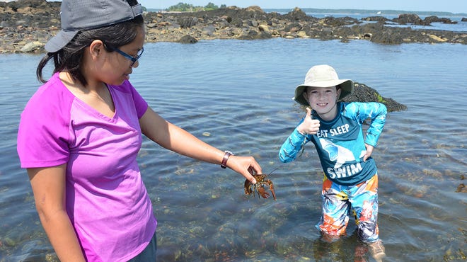 Seacoast Science Center is offering safe Environmental Day Camp programs at Odiorne Point State Park.