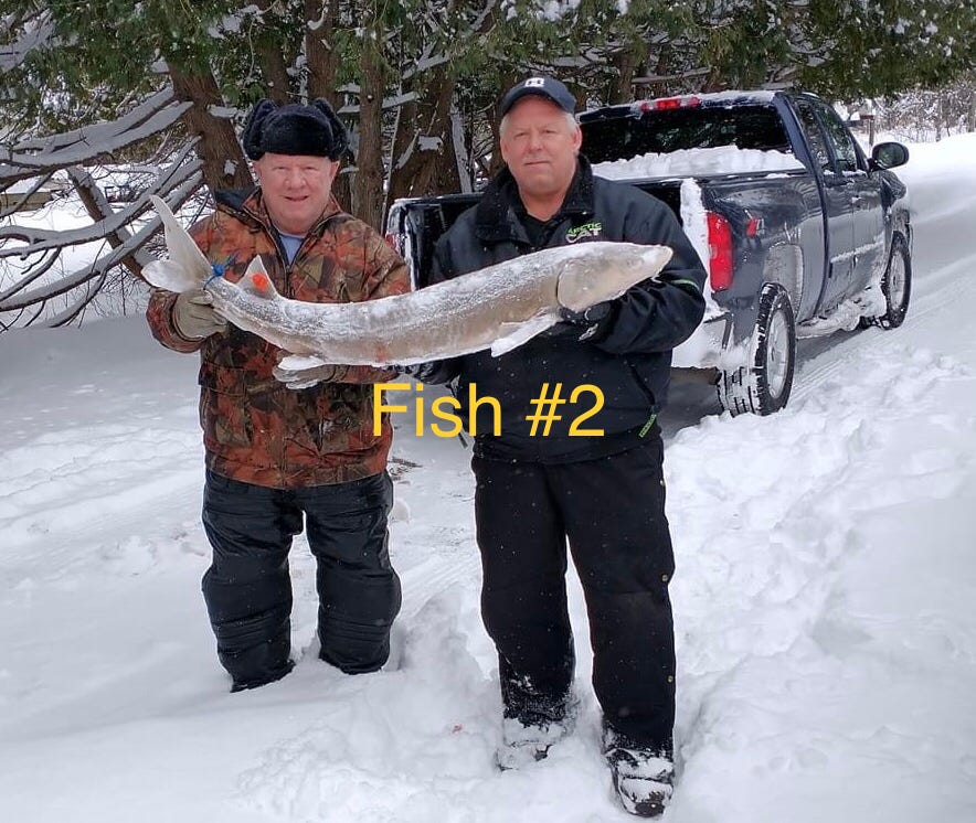 Michigan's Black Lake Sturgeon Season lasts 2 hours
