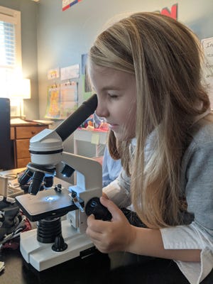 Grace Fitzgibbons uses a microscope to study common salt during a homeschooling science lesson.