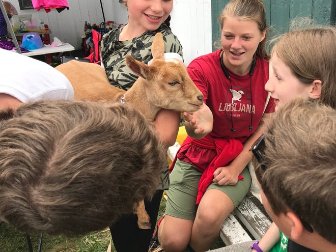 AnnaLise Floyd gets to hold a baby goat during a homeschooling lesson for Plymouth area students.