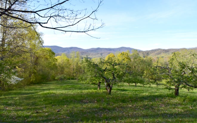 Southern Appalachian Highlands Conservancy, a long-time conservation-minded local family and Buncombe County partnered for a land conservation easement on a 26-acre property along U.S. 74A near Sherrill's Inn in Hickory Nut Gorge in December 2020.