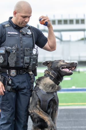 Twinsburg K-9 officer Yamil Encarnacion works with his K-9 partner Caesar. Encarnacion will be honored by The American Red Cross of Greater Akron and the Mahoning Valley at the 25th annual Acts of Courage Awards. He helped rescue a trapped child from a totaled vehicle.