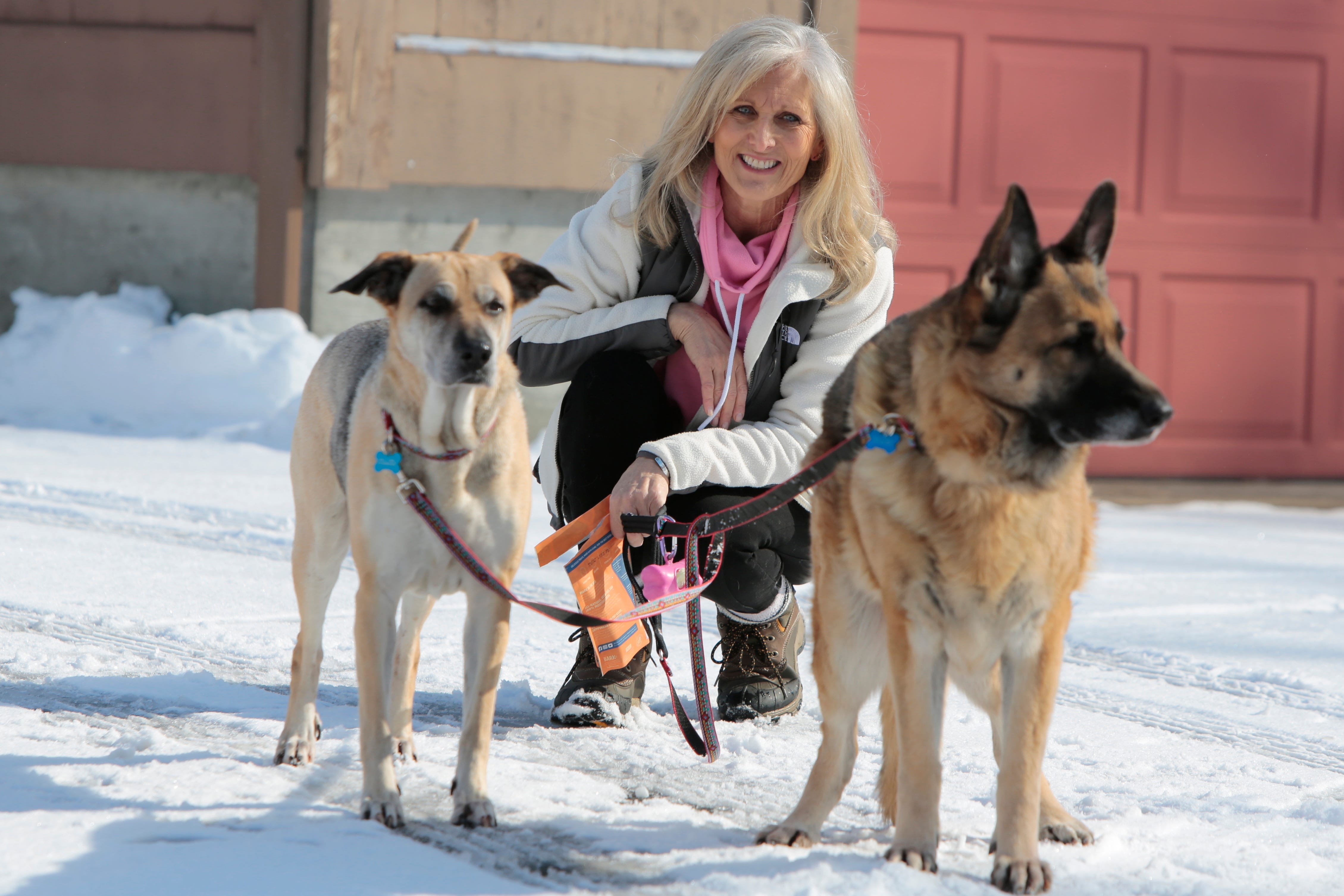 Pet adoption Stray dogs saved after 7 months at Massachusetts shelter